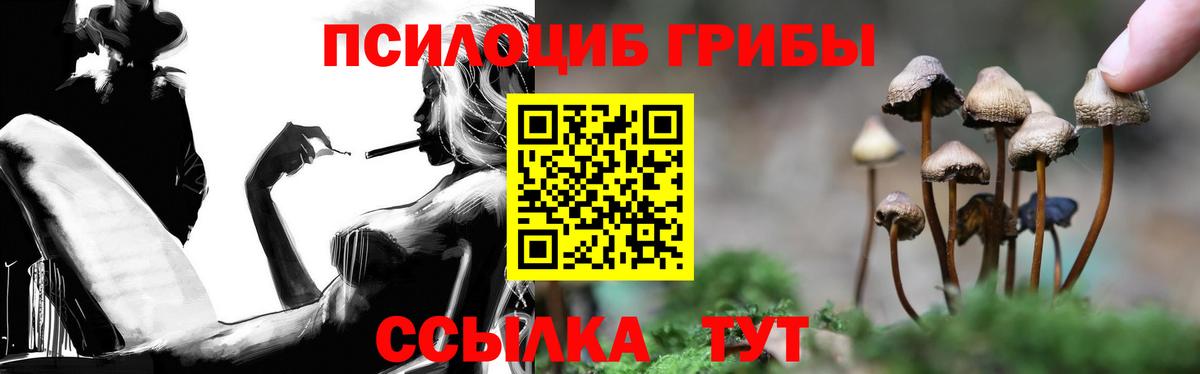 Псилоцибиновые грибы мухоморы Белгород